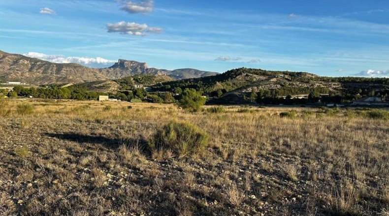 Alicante - Elda - 30427m2