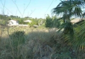 Suelo urbano en venta en la España, Torrent, ref: TR382723 foto