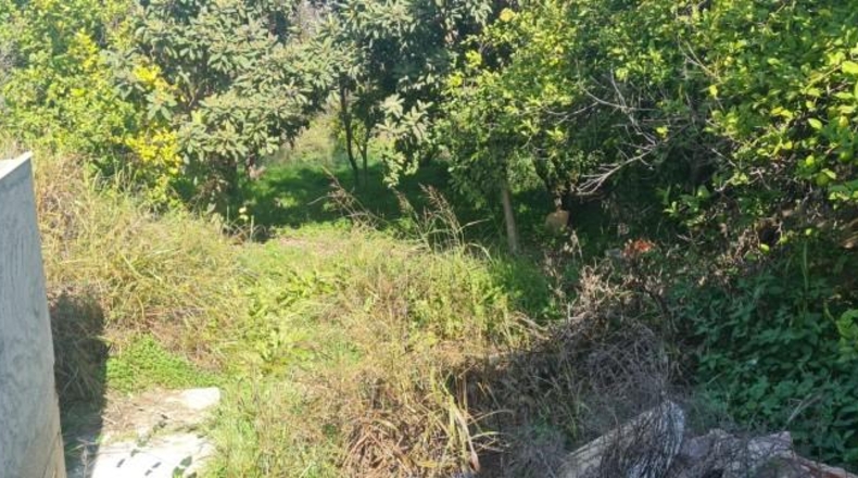 Valencia - Beniatjar - 900m2