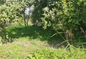 Country house with land for sale on España, Beniatjar, ref: TR399102 photo