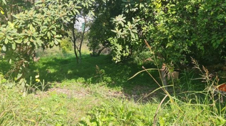 Valencia - Beniatjar - 900m2
