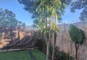 Detached villa with land for sale on España, Carcaixent, ref: TR372825 photo