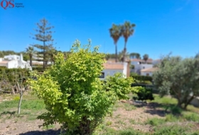 Cunit 527&nbsp;m² 