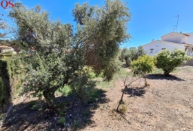 Cunit 527&nbsp;m² 