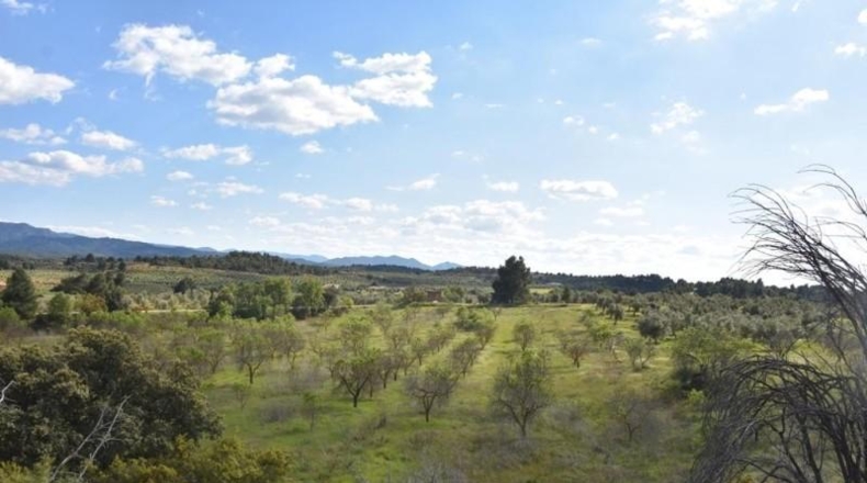Teruel - Cretas - 68218m2