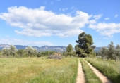 Chalet independiente con terreno en venta en la España, Cretas, ref: TR147713 foto