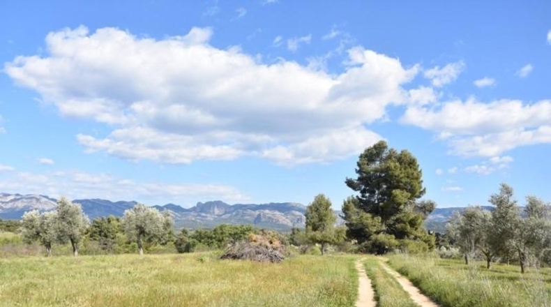 Teruel - Cretas - 68218m2