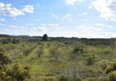 Chalet independiente con terreno en venta en la España, Cretas, ref: TR147713 foto