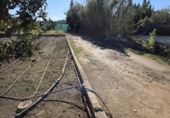 House with land for sale on España, Xeraco, ref: TR369298 photo