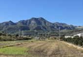 House with land for sale on España, Xeraco, ref: TR369298 photo