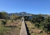 House with land for sale on España, Xeraco, ref: TR369298 photo