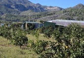 House with land for sale on España, Xeraco, ref: TR369298 photo