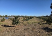 House with land for sale on España, Xeraco, ref: TR369298 photo