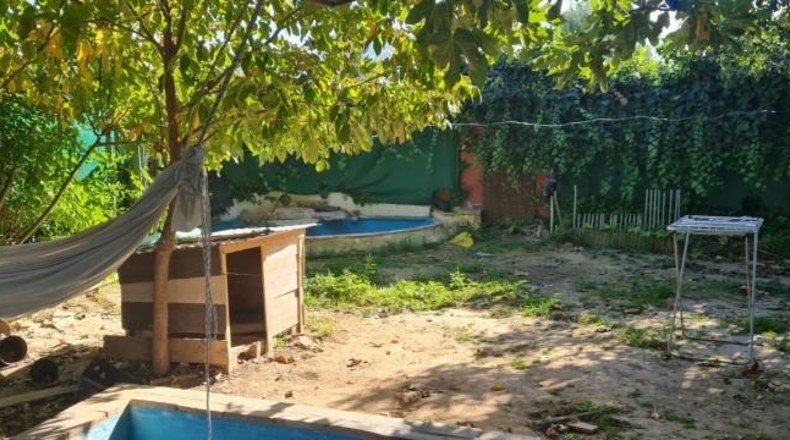Murcia - Murcia - 900m2