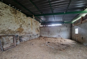 Foto 10