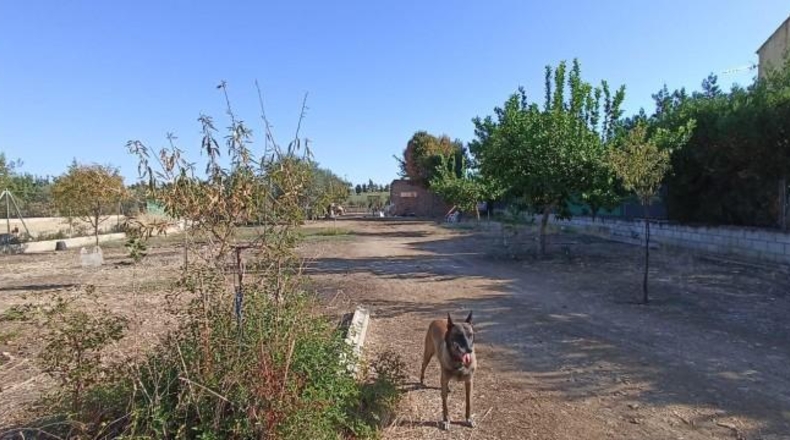 Córdoba - La Carlota - 1200m2