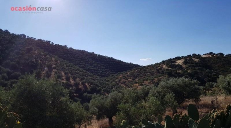Córdoba - Pozoblanco - 25000m2