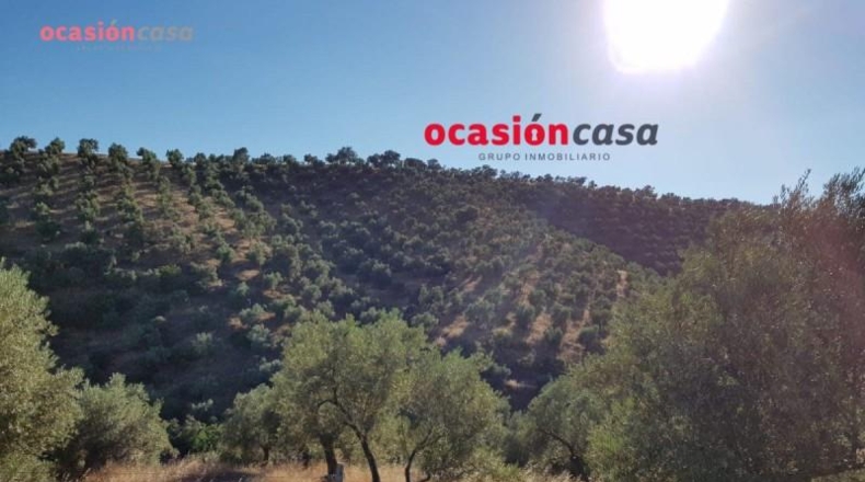 Córdoba - Pozoblanco - 25000m2