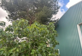 Foto 13