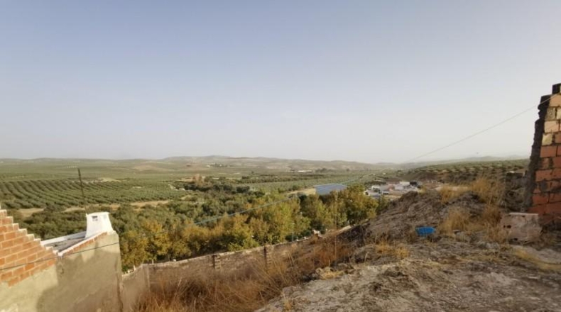 Córdoba - Baena - 755m2