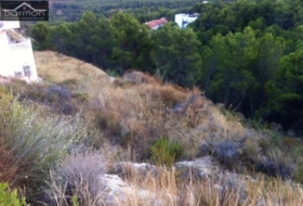 Foto 9