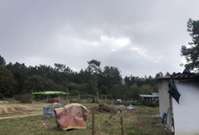 Foto 10