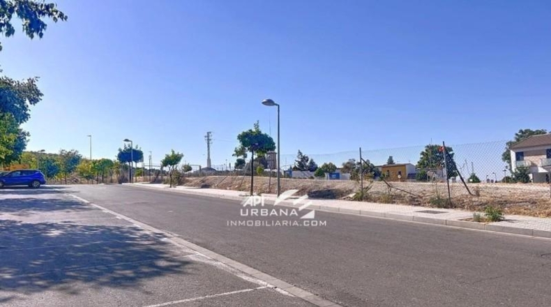 Cordova - Lucena - 250m2