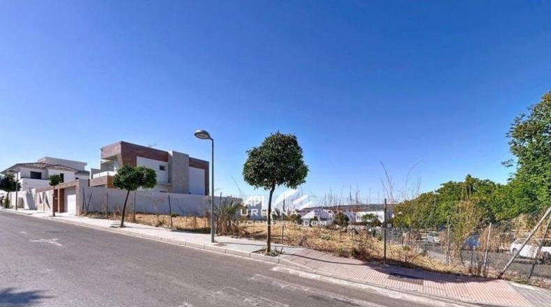 Cordova - Lucena - 250m2