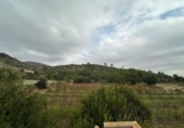 Casa de campo con terreno en venta en la España, Tous, ref: TR398987 foto