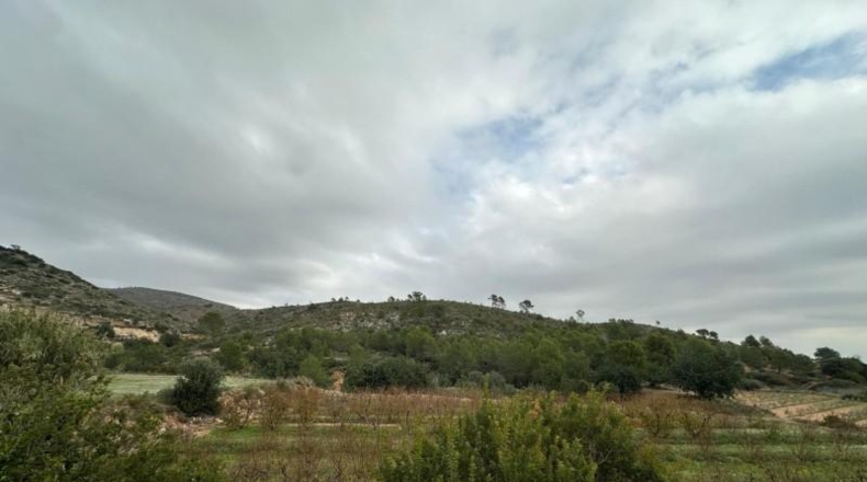 Alicante - Dolores - 185m2