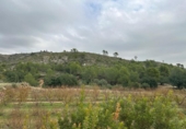 Casa de campo con terreno en venta en la España, Tous, ref: TR398987 foto