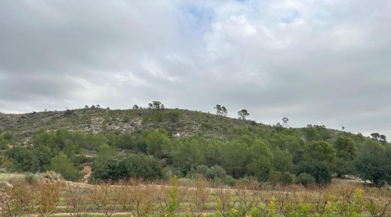 Alicante - Dolores - 185m2