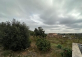 Casa de campo con terreno en venta en la España, Tous, ref: TR398987 foto