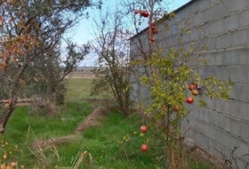 Casar de Cáceres 9890&nbsp;m²