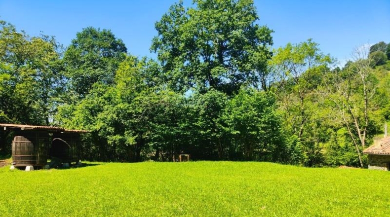 Asturias - La Segá - 3000m2