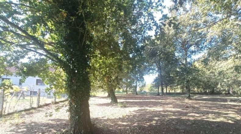 Lugo - Ribadeo - 3532m2