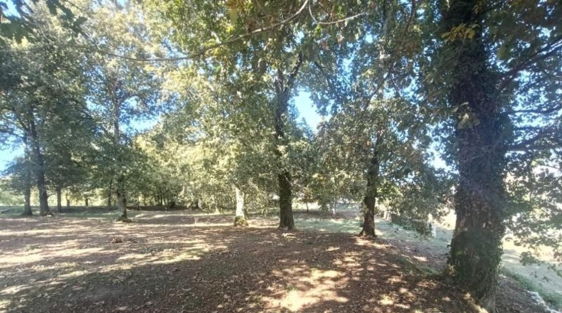 Lugo - Ribadeo - 3532m2