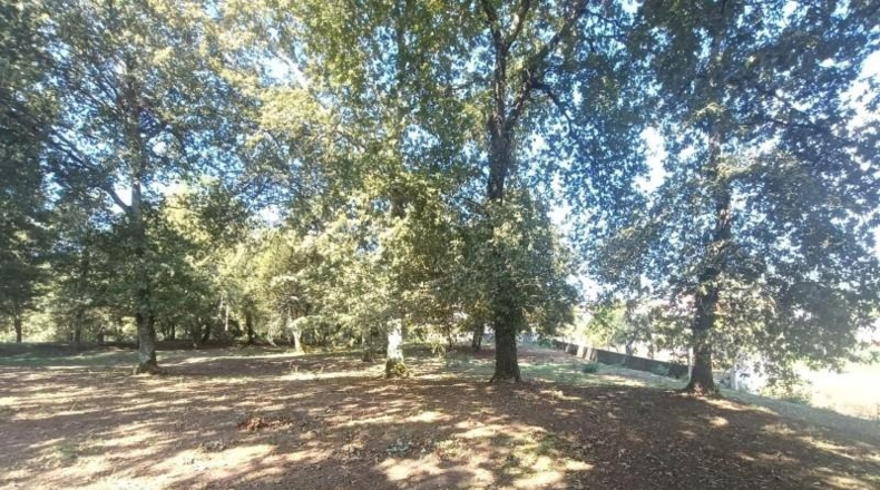 Lugo - Ribadeo - 3532m2