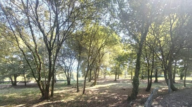 Lugo - Ribadeo - 3532m2