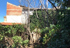 Foto 19
