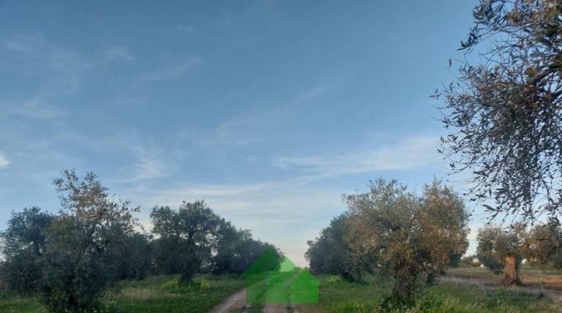 Badajoz - Montijo - 3220m2