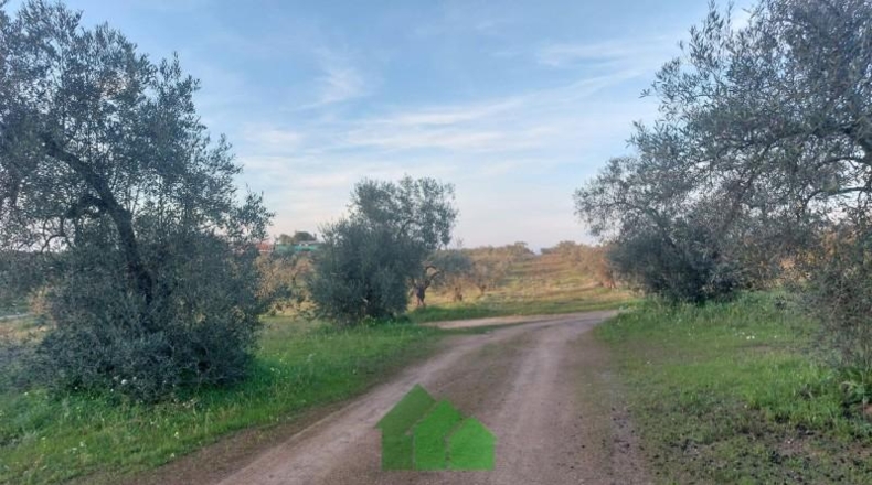 Badajoz - Montijo - 3220m2
