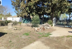 Foto 6