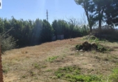 Chalet independiente con terreno en venta en la España, Vilanova de la Barca, ref: TR395704 foto