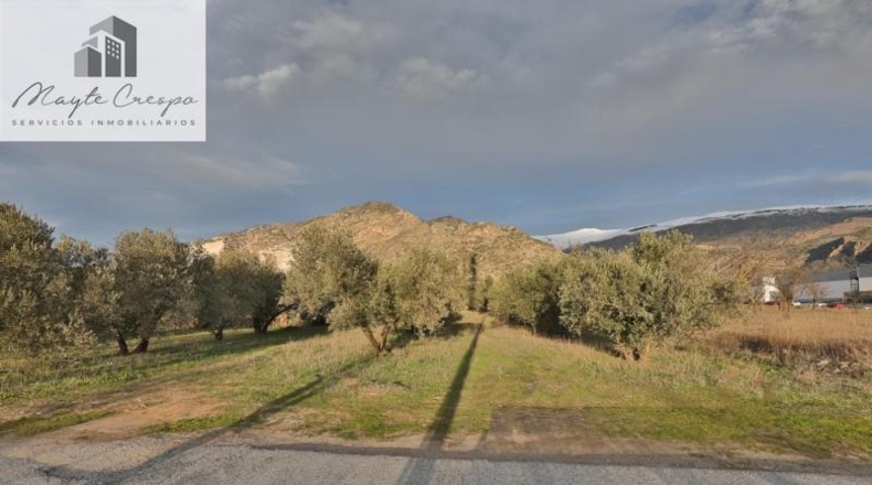 Granada - Nigüelas - 3234m2