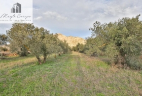 Nigüelas 3234&nbsp;m²