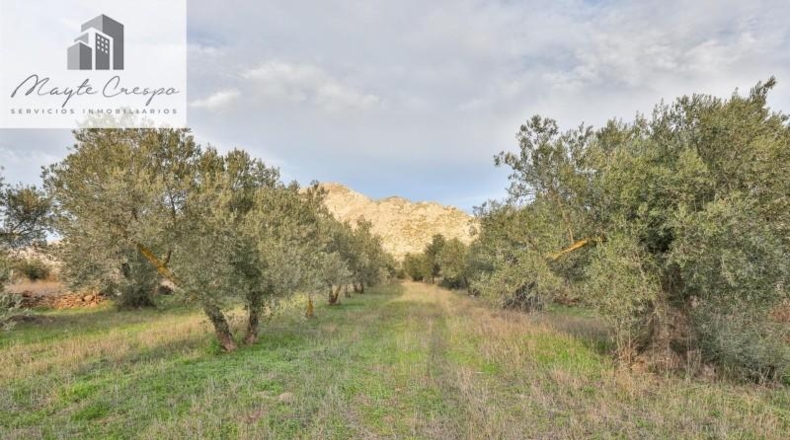 Granada - Nigüelas - 3234m2
