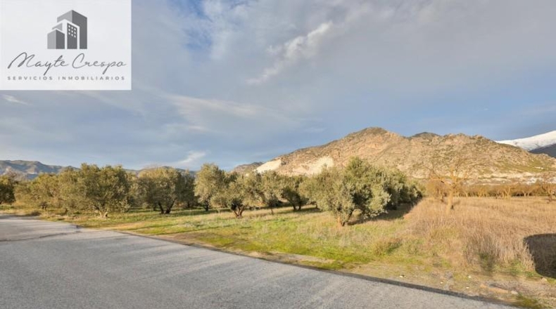 Granada - Nigüelas - 3234m2