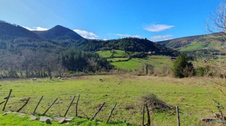 Álava - Респальдица - 1509m2
