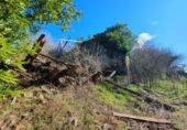 Suelo urbano en venta en la España, Respaldiza, ref: TR378857 foto